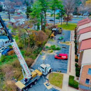 Axcobar Tree Experts.