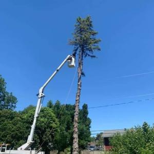 Big River Tree Service