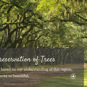Cambium Tree Care & Preservation