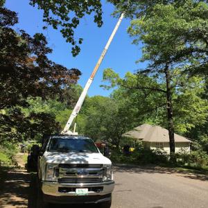 RJ Tree Service