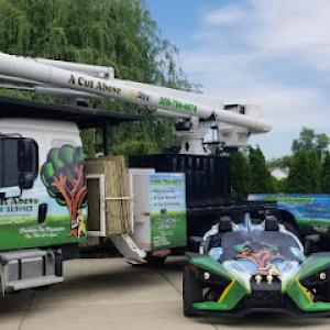 A Cut Above Tree Service