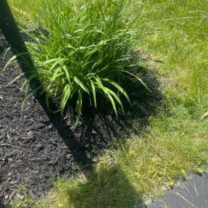 Martin's Property Care