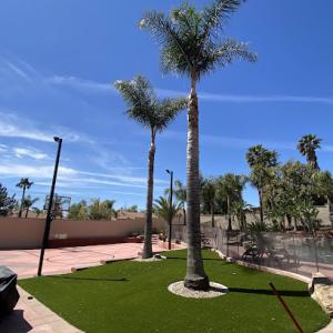 Arevalo Tree Service & Landscape