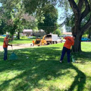 Reade's Property & Tree Service