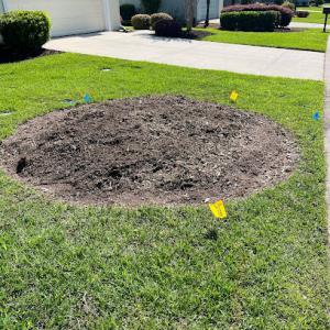 J.K. Williams Stump Grinding