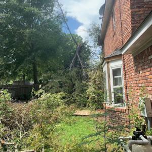 All Good Lawn & Tree Services