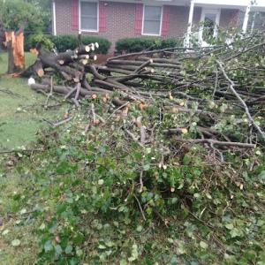 Ricky Jr's Tree Service