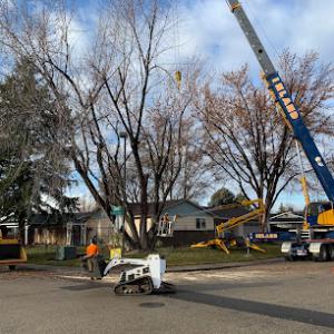 Healthy Tree Service