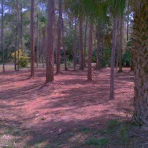Eco Mulching Services