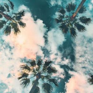 Fresh Cuts Landscape Services