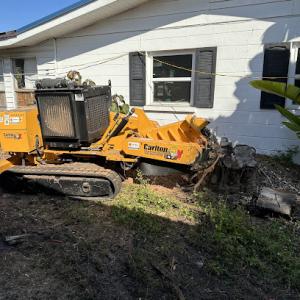 S & J Stump Removal