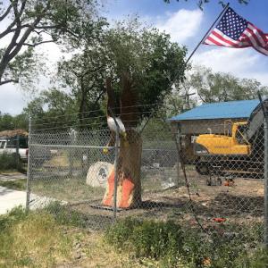 A Swedin Tree Expert