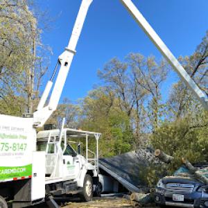Milton's Tree Care Services