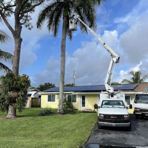 Seminole Tree Service.