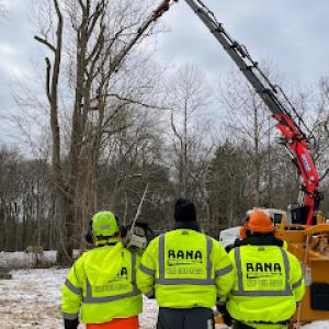 Rana Tree Removal