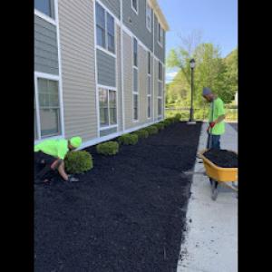 Avalanche Tree & Landscaping