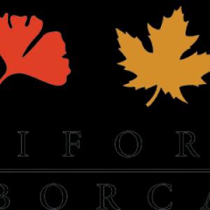 California Arbor Care