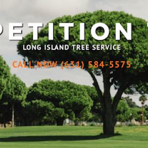 Competition Tree Service