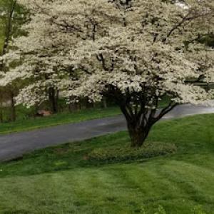 Second Nature Lawn Care