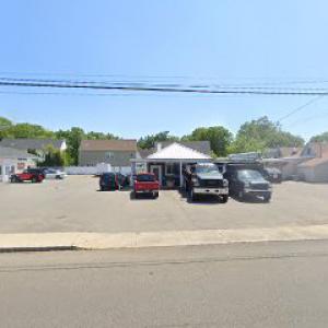 monkeys tree services