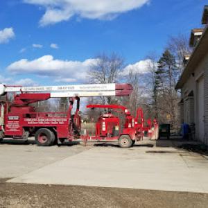 Bedard Tree Care Associates