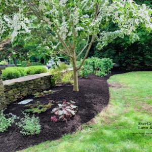EverGreen Lawn & Landscape