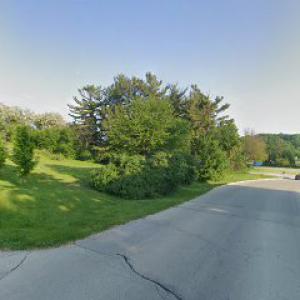 A Cut Above Tree Service & Landscaping