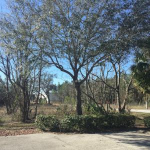 Nature Coast Treescapes ISA Certified Arborist