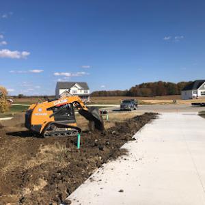 Buckeye brush control