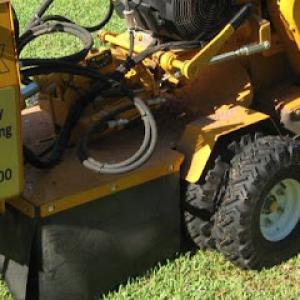 Brazos Valley Stump Grinding & Tree Service