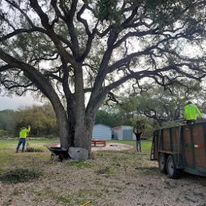 AJ Tree Services Austin