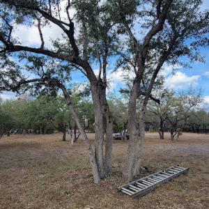 Sanchez's Tree Service