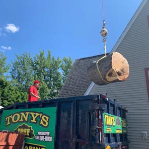 Tony's Tree & Landscaping