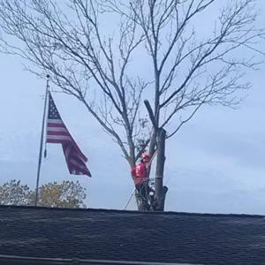 Woods Outdoor Services