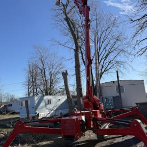 Meta Tree Services NY