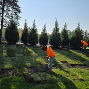 Final Oaks Tree Service