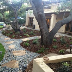 Environmental Landscape