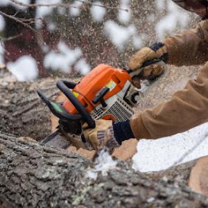 Teachers Tree Service