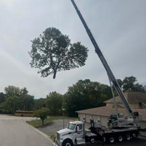 Perfect Landscape Tree & Services