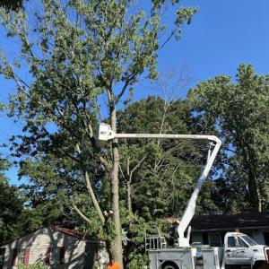 Bruton's Tree Service