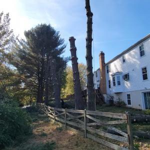 H&S Brothers Tree Service