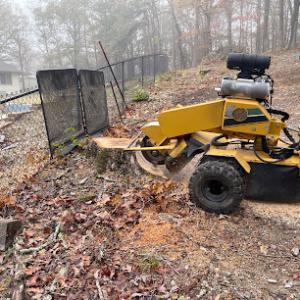 Flash Stump Grinding