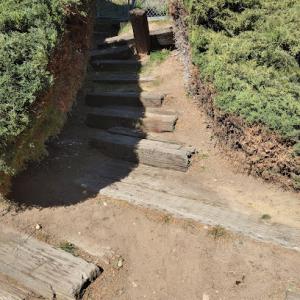 General tree service