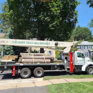 Navarro Tree Services