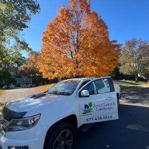 Jose's Lawn & Landscape