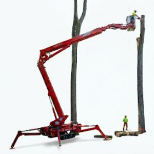 Mac's Tree Services