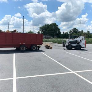 Harrisburg Tree Service