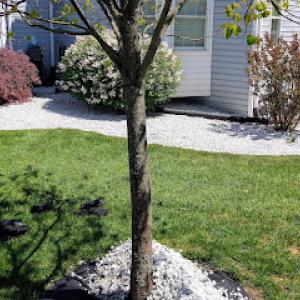 R&H Landscaping Services