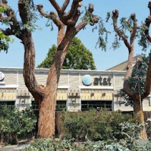 Rodriguez Tree Service