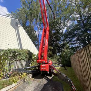 Benfield Tree Service